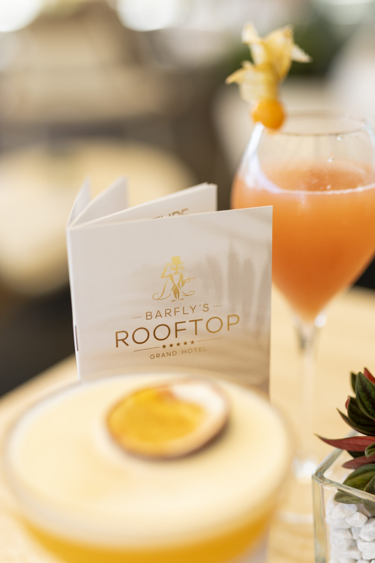 Barfly´s Rooftop Bar