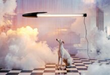 Es werde Licht: Kult-Kugelschreiber wird Designer-Leuchte Wer außergewöhnliches Design liebt, liegt mit der BIC-Leuchte richtig © Seletti