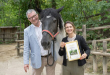 Zoo: Bezirkschefin wird zur Pferde-Patentante Zinkl mit Tiergartendirektor Stephan Hering-Hagenbeck © BV 13