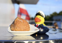 Admiral Duck empfiehlt: Cool auf den Wellen der Donau Die legendären Eismarillenknödel sind mit an Bord © DDSG