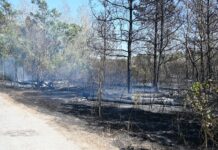 Großbrand in der Lobau bei Eßlinger Furt unter Kontrolle Nach ersten Schätzungen sind zirka 18 Hektar Fläche vom Brand betroffen. © Stadt Wien/Feuerwehr