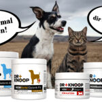 THE GOODSTUFF x Dr. Knoop