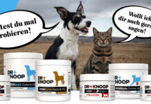 THE GOODSTUFF erweitert Angebot für Vierbeiner THE GOODSTUFF x Dr. Knoop