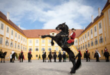 Glück der Erde: Showtime beim fulminanten Pferdefest Reitkunst in Vollendung vor imperialer Kulisse © Michaela Mejta