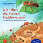 Wie leben die kleinen Waldameisen?