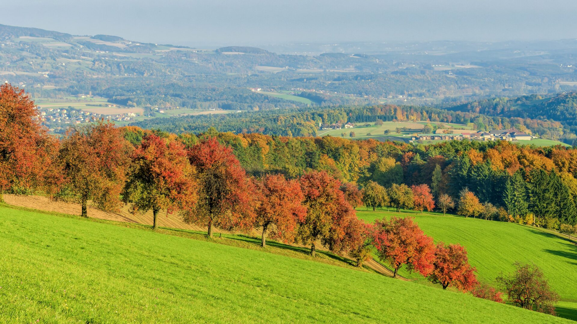 Waldhof Mara
