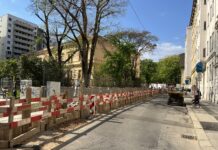 13 Bäume: Aus grauer Gasse wird grüne Allee Die Apollogasse wird bald zur grünen Allee (Bild: BV 7).