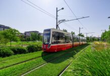 Es grünt so grün auf den Gleisen mitten in Wien Aktuell gibt es in Wien rund 12 Kilometer Grüngleise und es werden mehr © Timo Peischl