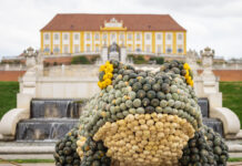 Monumentale Kürbis-Skulpturen auf Schloss Hof Auch der Froschkönig besteht nur aus Kürbissen © SKB