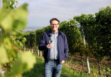 Wiens Weinberge laden zum Genusswandern ein 18. Wiener Weinwandertag
