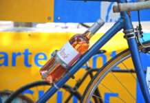 Vierfacher Radler-Rausch: Bis zu 2,4 Promille! Zu viel Wein! Vier Betrunkene wankten mit ihren Rädern durch den Donaupark (Bild: Istock).