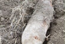 Diesmal Lobau: 50-Kilo-Flieger-Bombe entdeckt Diesmal ist in der Lobau eine alte Fliegerbombe aus dem 2. Weltkrieg aufgetaucht (Bild: LPD Wien).