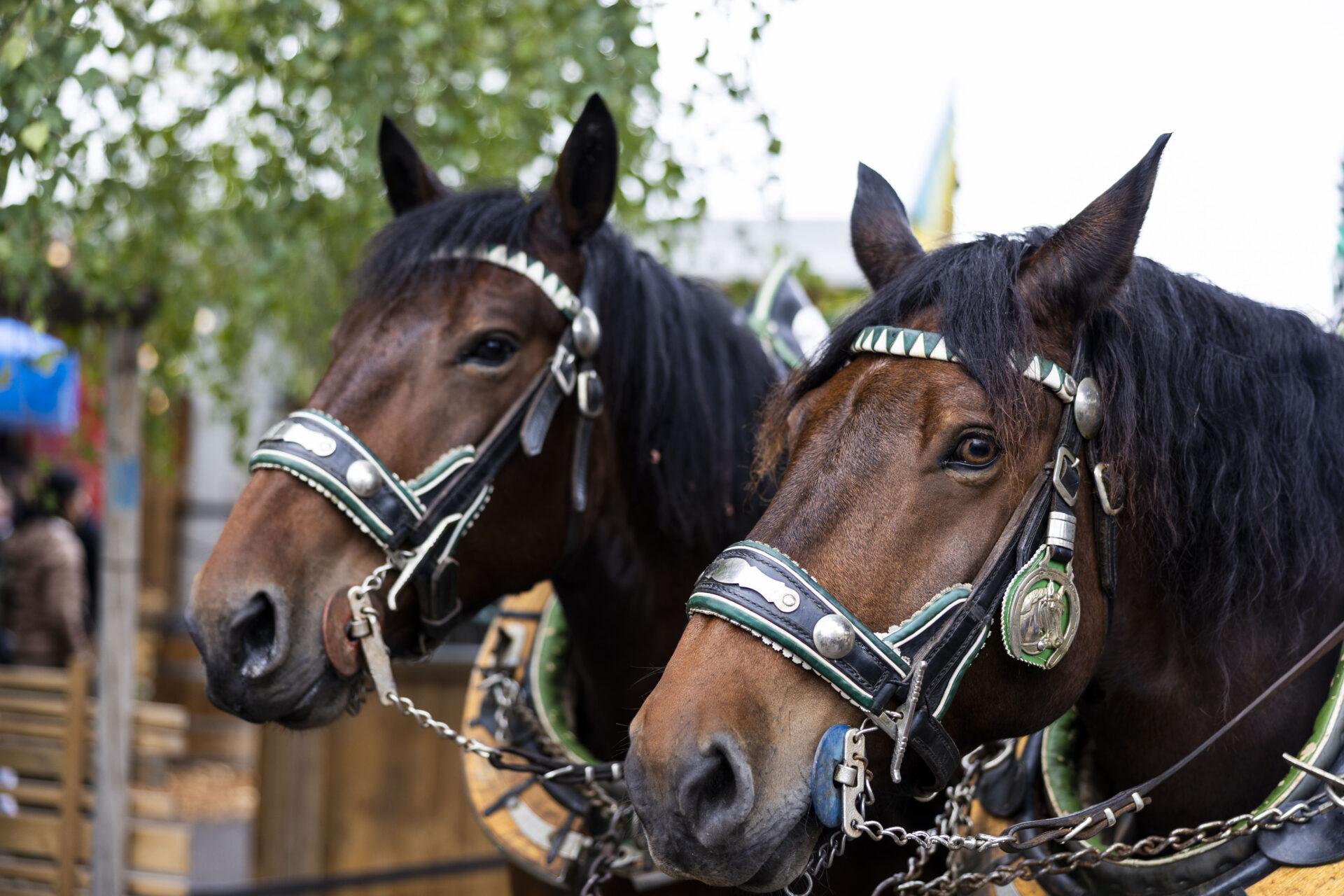 Wiener Kaiser Wiesn Eröffnung 2026