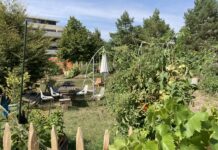 Neuer Nachbarschaftsgarten belebt die Aspanggründe So könnte der zukünftige Nachbarschaftsgarten aussehen © GB*