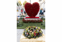 Allerheiligen: Gärtner & Floristen laden ins Belvedere Gärtner und Floristen laden zu Allerheiligen ins Belvedere