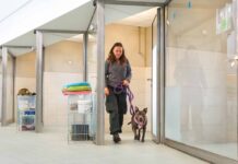 Ein Wasserschaden brachte 25 Hunden Glück Mehr als 25 Hunde haben beim "Tapetenwechsel" ein dauerhaftes Zuhause gefunden. @ Tierquartier